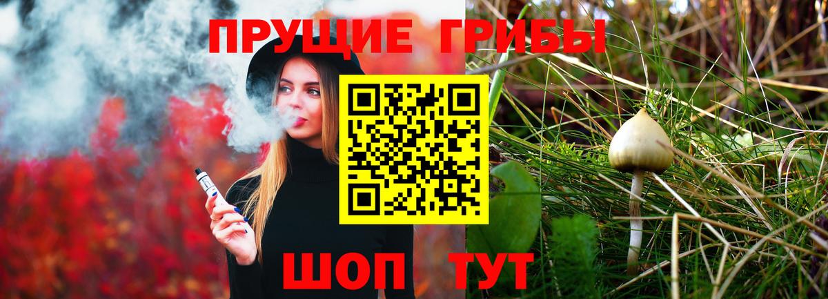 Псилоцибиновые грибы мухоморы  Псилоцибиновые грибы Psilocybine cubensis  Касимов  Вход с VPN 