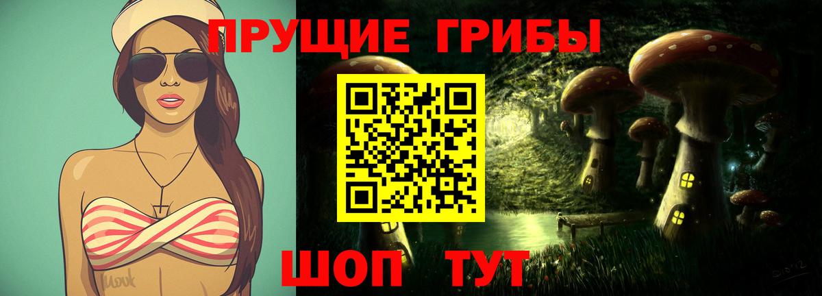 Псилоцибиновые грибы Psilocybe Касимов